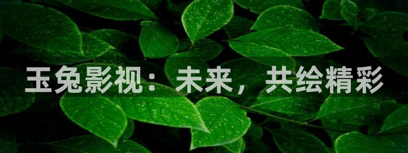 6080新视觉影视官网